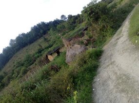 Walk & Ride About