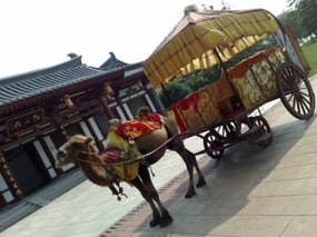 City Walk & Drum Tower 12