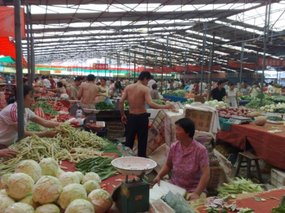 Islam Market & Stupid Faces