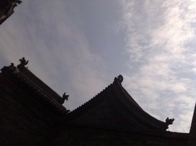 29-Shapely Roof Tops & Chinese Theatre