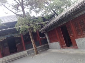 14-Jinci Temple Adventure