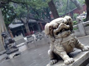 2-Jinci Temple Adventure