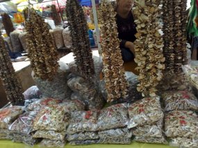 18-Wutai Shan Temple Adventure