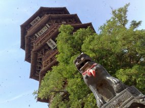 10-Hanging Monastery & Mu Ta Pagoda