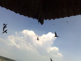 18-Hanging Monastery & Mu Ta Pagoda