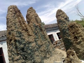 31-Churches Schools & Luo Wei