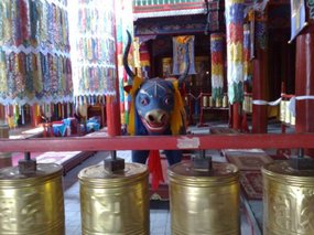 7-Wuta Pagoda & Da Zhao Temple