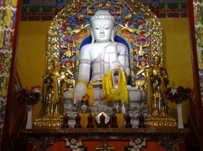 9-Wuta Pagoda & Da Zhao Temple