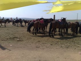 11-Hohhot Grasslands Adventure