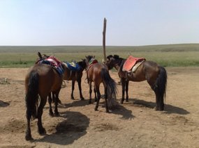 22-Hohhot Grasslands Adventure