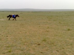 30-Hohhot Grasslands Adventure