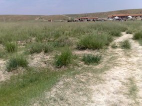 35-Hohhot Grasslands Adventure