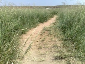 8-Hohhot Grasslands Adventure