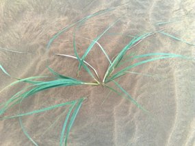 13-Hohhot Desert Adventure
