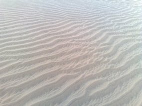 14-Hohhot Desert Adventure