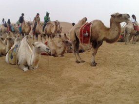 3-Hohhot Desert Adventure