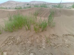 9-Hohhot Desert Adventure