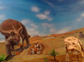 3-Inner Mongolia Museum