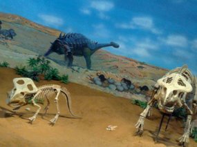 4-Inner Mongolia Museum
