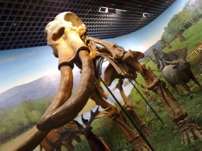 6-Inner Mongolia Museum