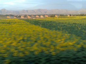 10-Hoohot to Yingchuan Adventure