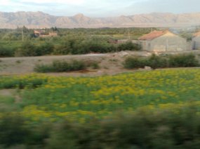 9-Hoohot to Yingchuan Adventure