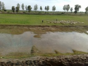 Hoohot to Yingchuan Adventure