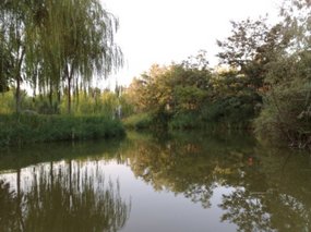 10-Bell Tower & Zhongshan Park