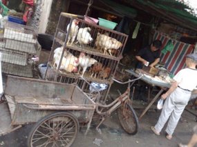 11-Kaifeng  Return City Walk