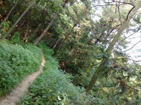15-Jigongshan Third Day Adventure