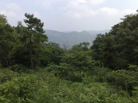 26-Jigongshan Third Day Adventure