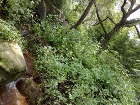 29-Jigongshan Third Day Adventure