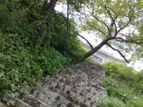 4-Jigongshan Third Day Adventure