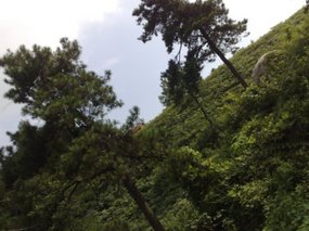 8-Jigongshan Third Day Adventure