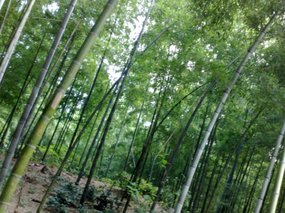 9-Jigongshan Third Day Adventure