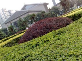 1-Xian City Walk & Music Square