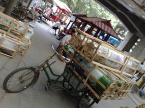14-Xian City Walk & Music Square