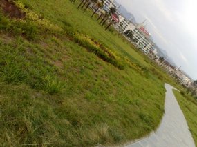 19-A Casual Walk on the River Side of the City
