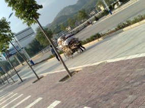 9-A Casual Walk on the River Side of the City