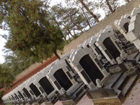 9-Teachers Day Pagoda Walk