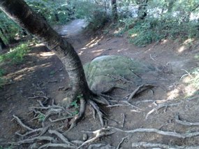 18-Jigongshan Second Day Adventure