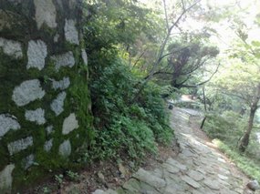 31-Jigongshan Second Day Adventure