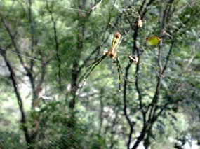 5-Jigongshan Second Day Adventure