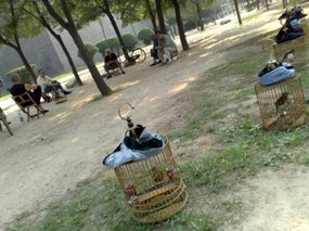 1-Xian Around The Wall Adventure II