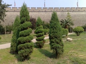 11-Xian Around The Wall Adventure II