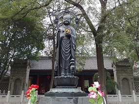 Daxingshan Temple Adventure