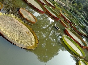 Hanyao Temple, Qujiand Park, Qin Huhais Tomb & Tem