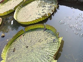 Hanyao Temple, Qujiand Park, Qin Huhais Tomb & Tem
