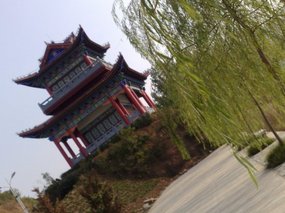 Happy Birthday Pagoda Walk