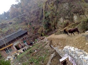 The Temple Mountain Adventure